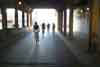 The Shining Path To Enlightenment!